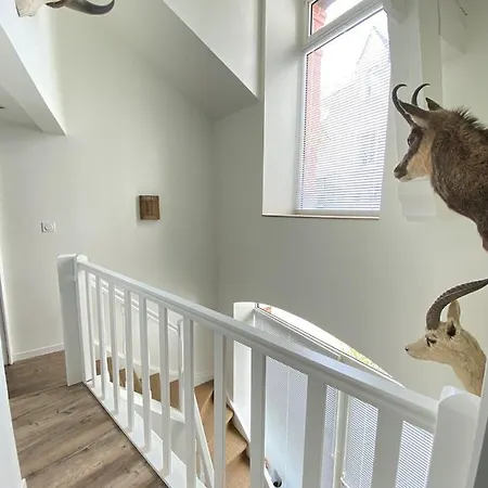 L'ecrin Des Bords De L'erdre - Les Maisons De Madeleine *