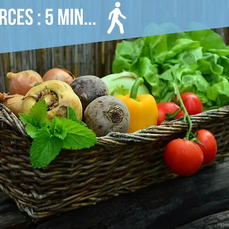 Tatil Evi L'ecrin Des Bords De L'erdre - Les Maisons De Madeleine Nantes