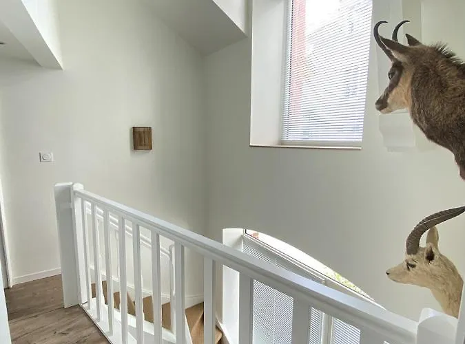 L'ecrin Des Bords De L'erdre - Les Maisons De Madeleine *